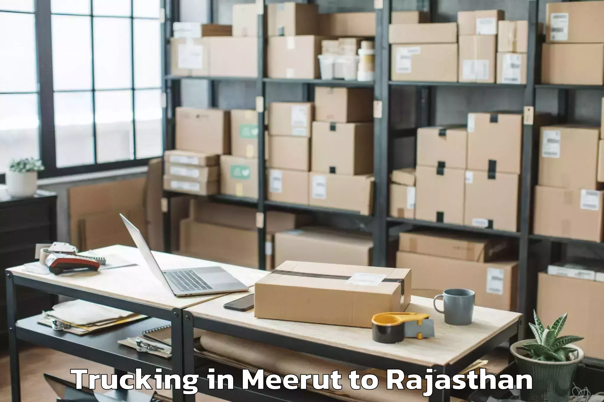 Book Meerut to Chittorgarh Trucking Online